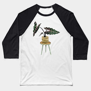 Alocasia Baseball T-Shirt